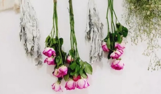 哪些花可以做干花，干花的制作方法(图4)