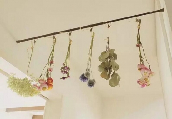 哪些花可以做干花，干花的制作方法(图3)