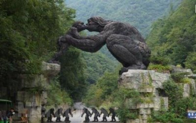 ​揭秘神农架蛮人之谜，未知的庞大野灵巧物_疑为巨猿