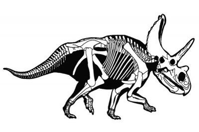 ​阿古哈角龙：属于角龙类生物（身上长了许多角）