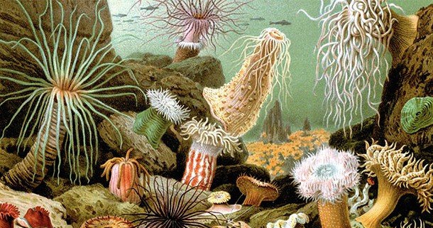 海洋的神秘有哪些?人类不领会的15大海洋常识