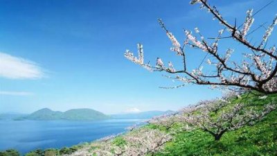​大年初二祝福语简短(大年初二吉祥话)
