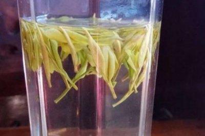 ​黄金叶产地是哪里_哪些地方种植了黄金叶