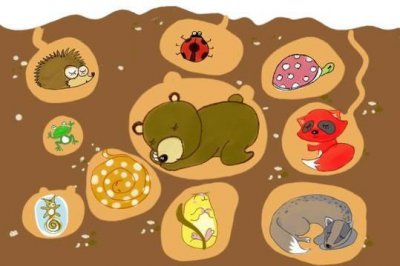 ​什么动物冬眠（冬眠的动物还有什么动物）