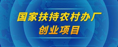 ​政府扶持办厂项目有哪些（国家扶持农村办厂有哪些项目）