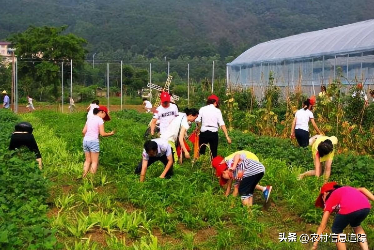 政府扶持办厂项目有哪些，国家扶持农村办厂有哪些项目