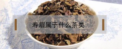​寿眉是什么茶（福建白茶寿眉是什么茶）