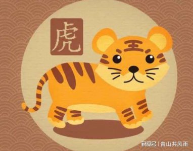 ​86年属虎人最穷不过36岁（86年属虎人最难熬的一年）
