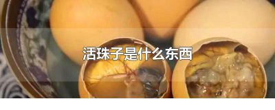 ​活珠子是什么东西（活珠子全部都能吃掉吗）