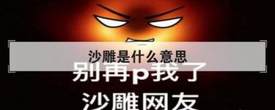 ​沙雕是什么意思（沙雕形容一个人是什么意思）