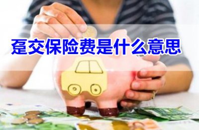 ​什么叫趸交（保险当中的趸交是什么意思）