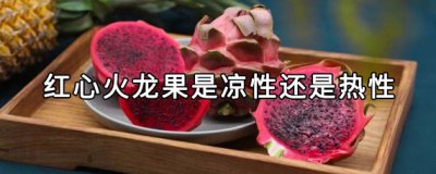 ​火龙果是热性还是凉性（火龙果是凉性的还是热性的）