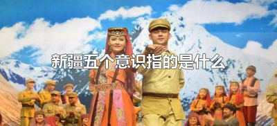 ​新疆五个意识指的是什么（5个意识是哪5个）