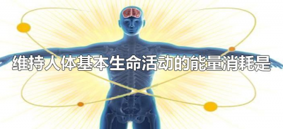 ​维持人体基本生命活动的能量消耗是什么