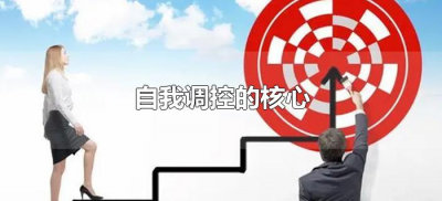 ​自我调控的核心（自我调控的核心主要表现在哪方面）