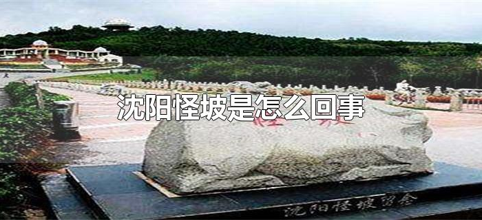 沈阳怪坡是怎么回事