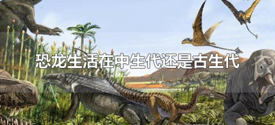 ​恐龙生活在中生代还是古生代（恐龙生活在距今多少年前的中生代）