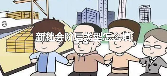 新社会阶层类型怎么填