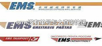 ​ems没有单号怎么查询快递（邮政ems没有快递单号可以查询吗）