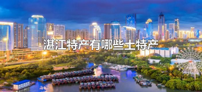 ​湛江特产有哪些土特产（广东湛江特产有哪些土特产）