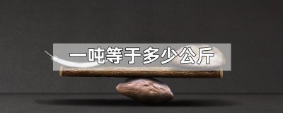 ​一顿是等于多少斤换算（吨和斤怎么换算）