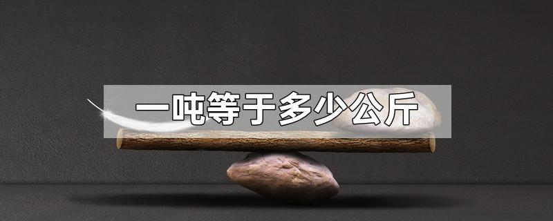 一顿是等于多少斤换算，吨和斤怎么换算 