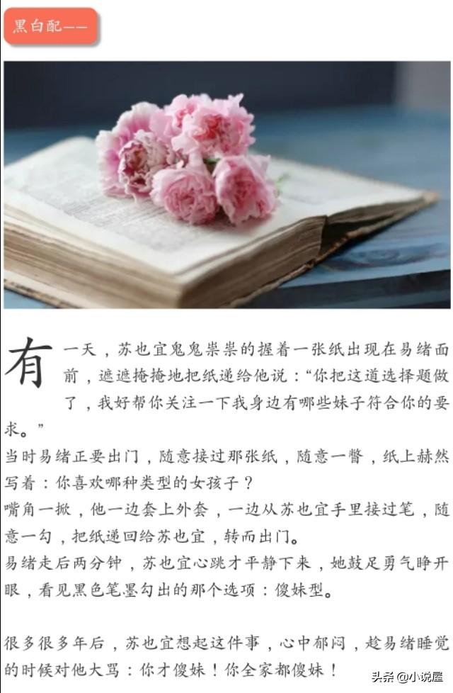 高干文简短（经典高干文书单）(3)
