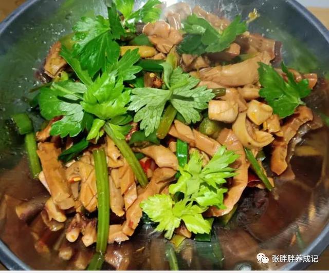 干锅鱿鱼家常做法大全集（干锅鱿鱼的家常做法）(1)