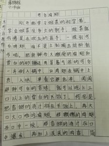 ​仿写腊八粥第一自然段我最喜欢的食物（是怎么写的）