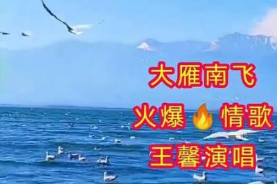 ​大雁南飞原唱的歌词
