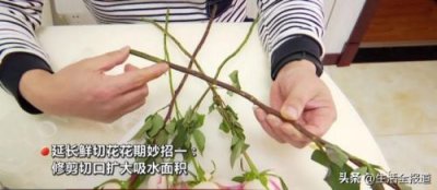​鲜花怎么保鲜时间长(鲜花怎么保鲜长久)