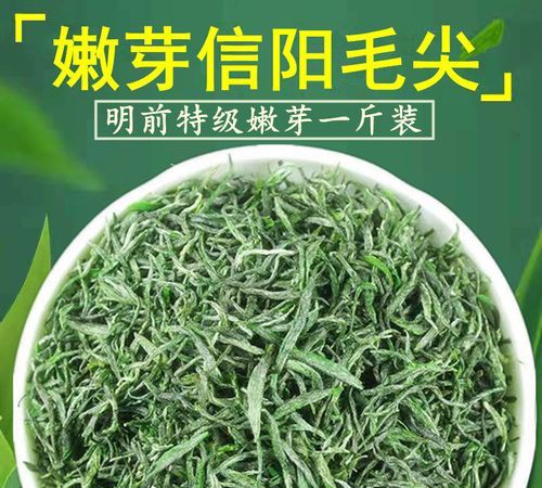 信阳毛尖是绿茶还是什么茶