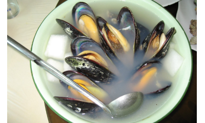 ​淡菜是什么季节吃的,什么是淡菜