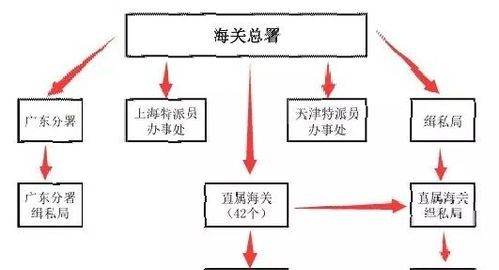 海关属于什么单位性质