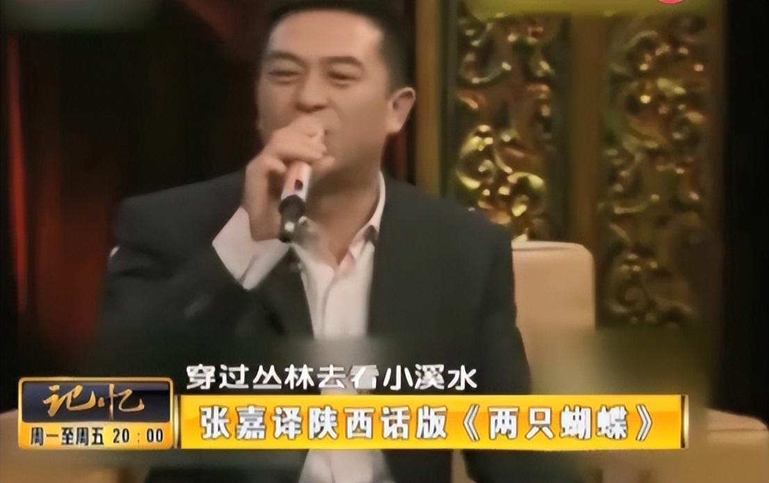 张嘉译个人资料简介（20年后，再看张嘉译的婚姻，才知道当初他和杜珺离婚为何如此坚决）