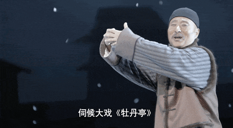 陈佩斯个人资料简介及 “小品之王”：被封杀24年，穷到开荒种地，到底得罪了谁？