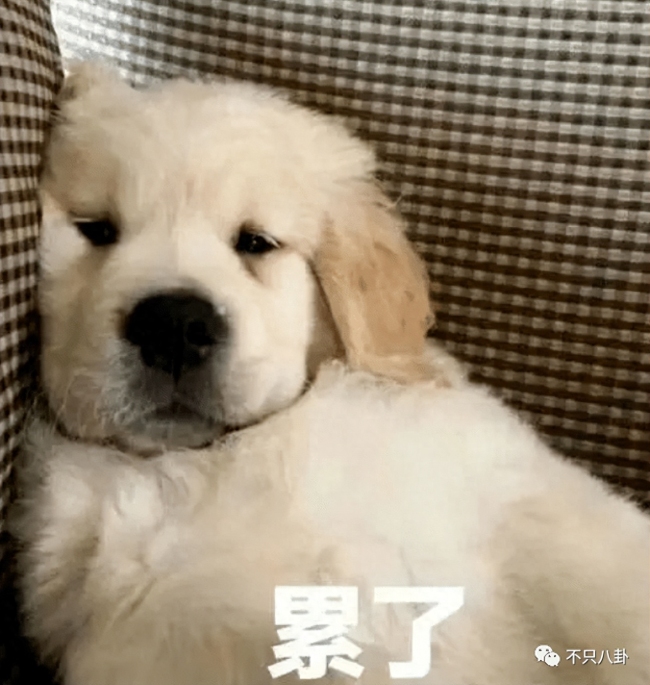 被骂戏太多？本想博同情没想到她又翻车了