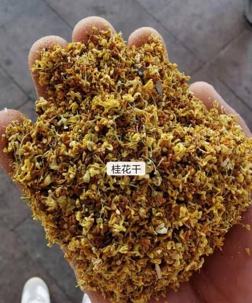 桂花花怎么晒干的方法