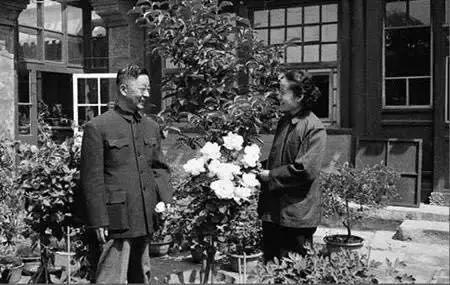 “人民艺术家”老舍：那些从来就不该被忘却的——老舍之死