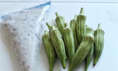 ​秋葵的籽可以吃吗，秋葵种子可以直接种吗？