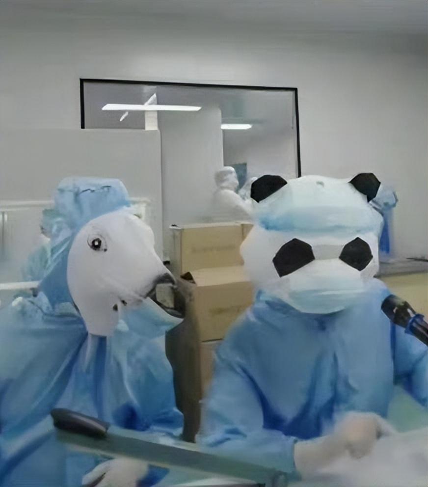 白鹿算不算一线？网友吵翻了，于正显摆：营销号公认的