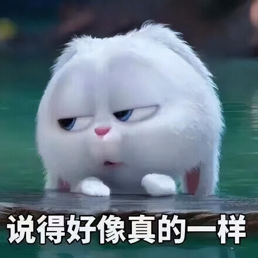 白鹿算不算一线？网友吵翻了，于正显摆：营销号公认的