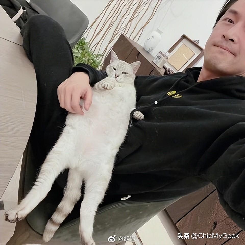 胡歌官宣当爸炸出《仙剑》好感情：袁弘放肆调侃，唐嫣早知情