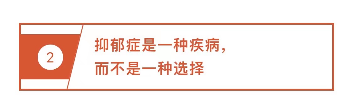 央视名嘴撒贝宁，为何具有过目不忘的“照片记忆”能力？
