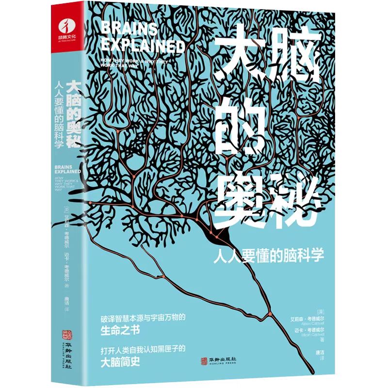 央视名嘴撒贝宁，为何具有过目不忘的“照片记忆”能力？