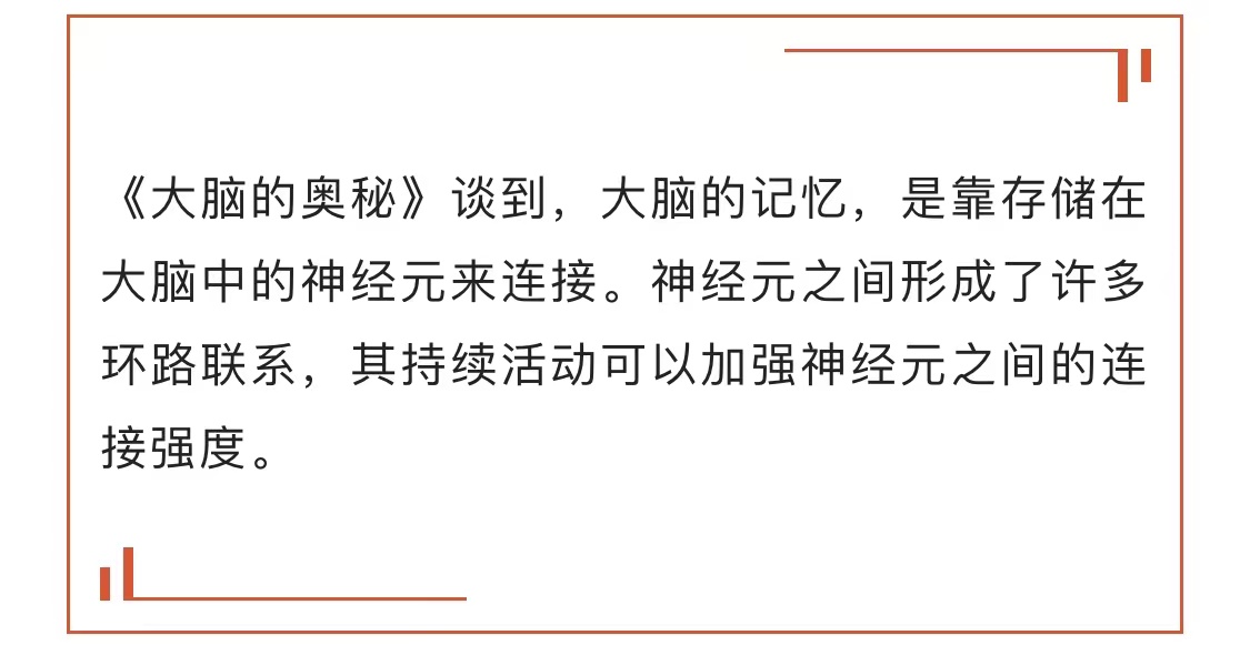 央视名嘴撒贝宁，为何具有过目不忘的“照片记忆”能力？