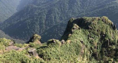​贺州姑婆山景点介绍(贺州姑婆山附近民宿)