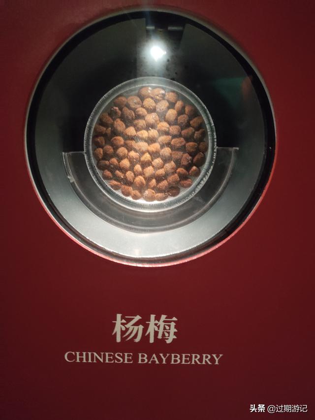 长沙湖南博物馆攻略（当然要去湖南省博物馆）(5)