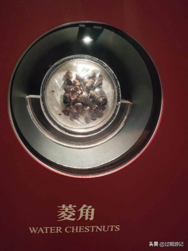 长沙湖南博物馆攻略（当然要去湖南省博物馆）(7)