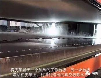 皮革科普（皮革是如何制造出来的）(19)